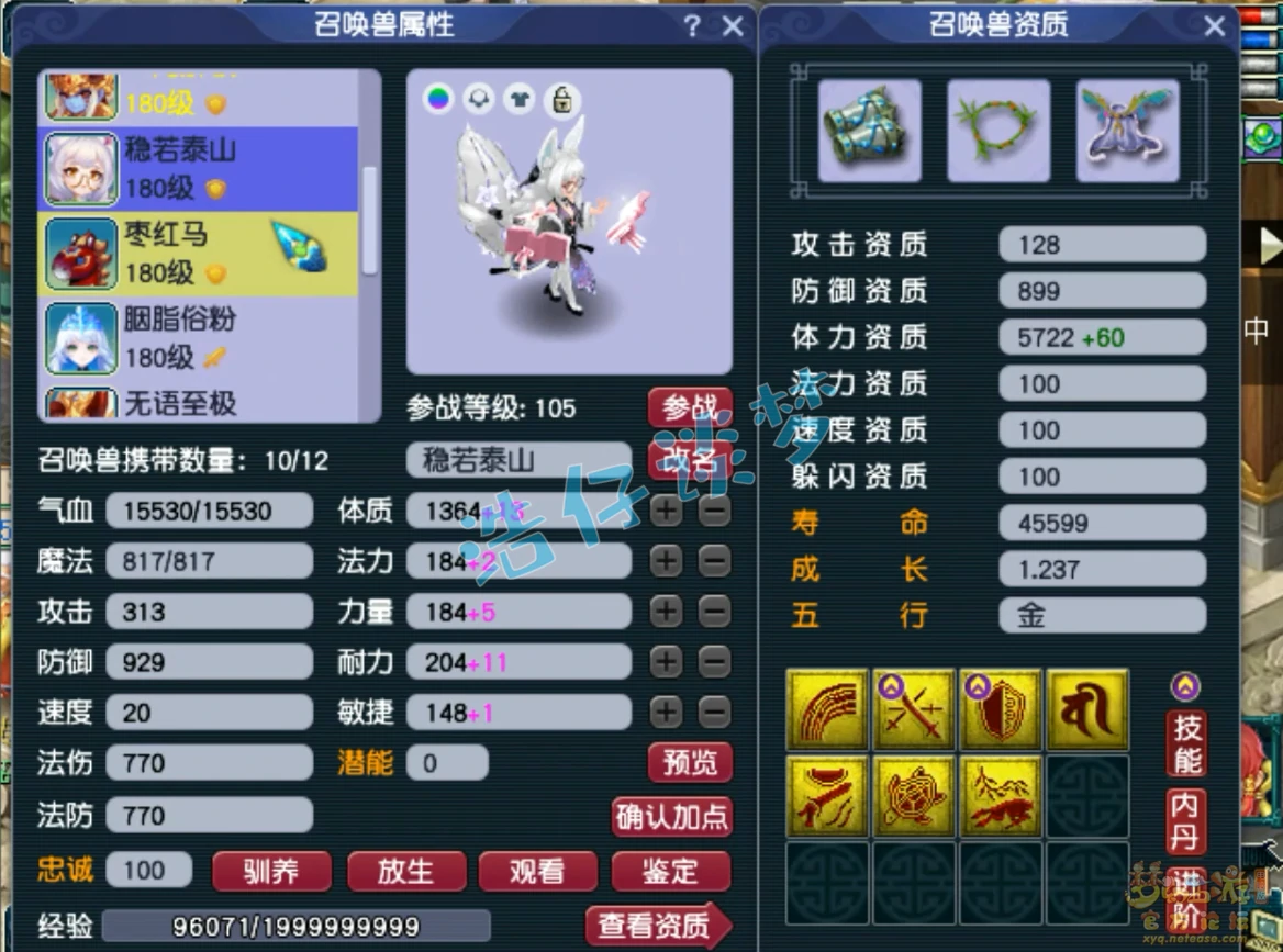 功能型灵宠