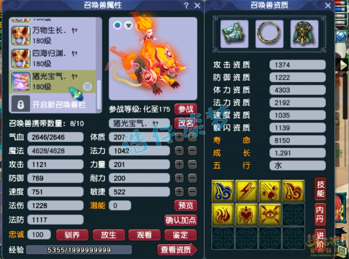观照谛听培养建议,梦幻西游