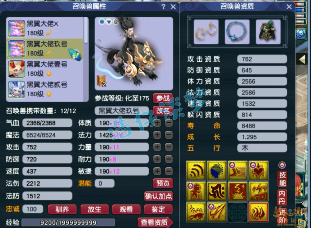 175级力普陀装备展示,梦幻西游