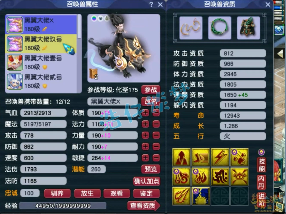 175级力普陀装备展示,梦幻西游