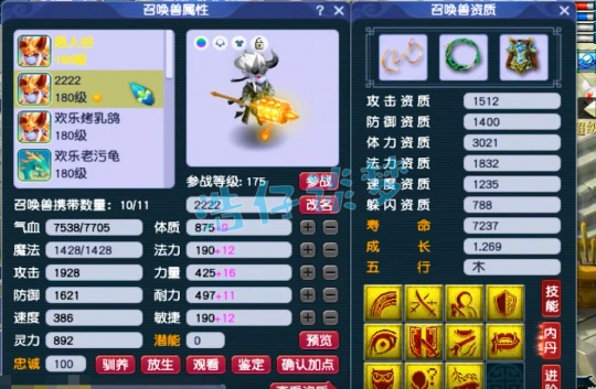 帮战175花果装备展示,梦幻西游