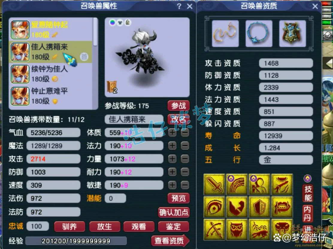 凌波三攻175装备展示,梦幻西游