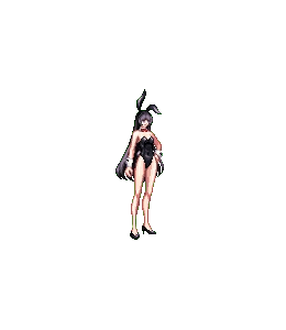 DNF全职业兔女郎时装外观效果展示,DNF