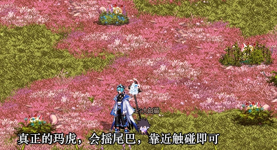 DNF无尽妖谱玛虎的愿望怎么玩,DNF
