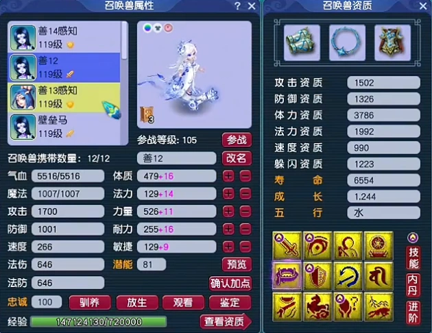 神威天宫装备搭配图,梦幻西游