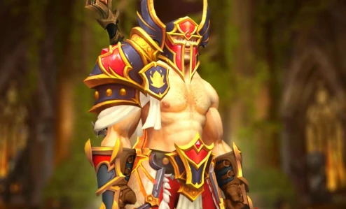 令人费解的财阀凭证战士兑换推荐,魔兽世界