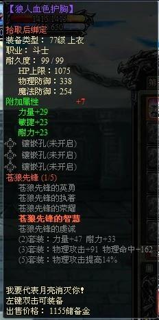 苍狼先锋套装图示