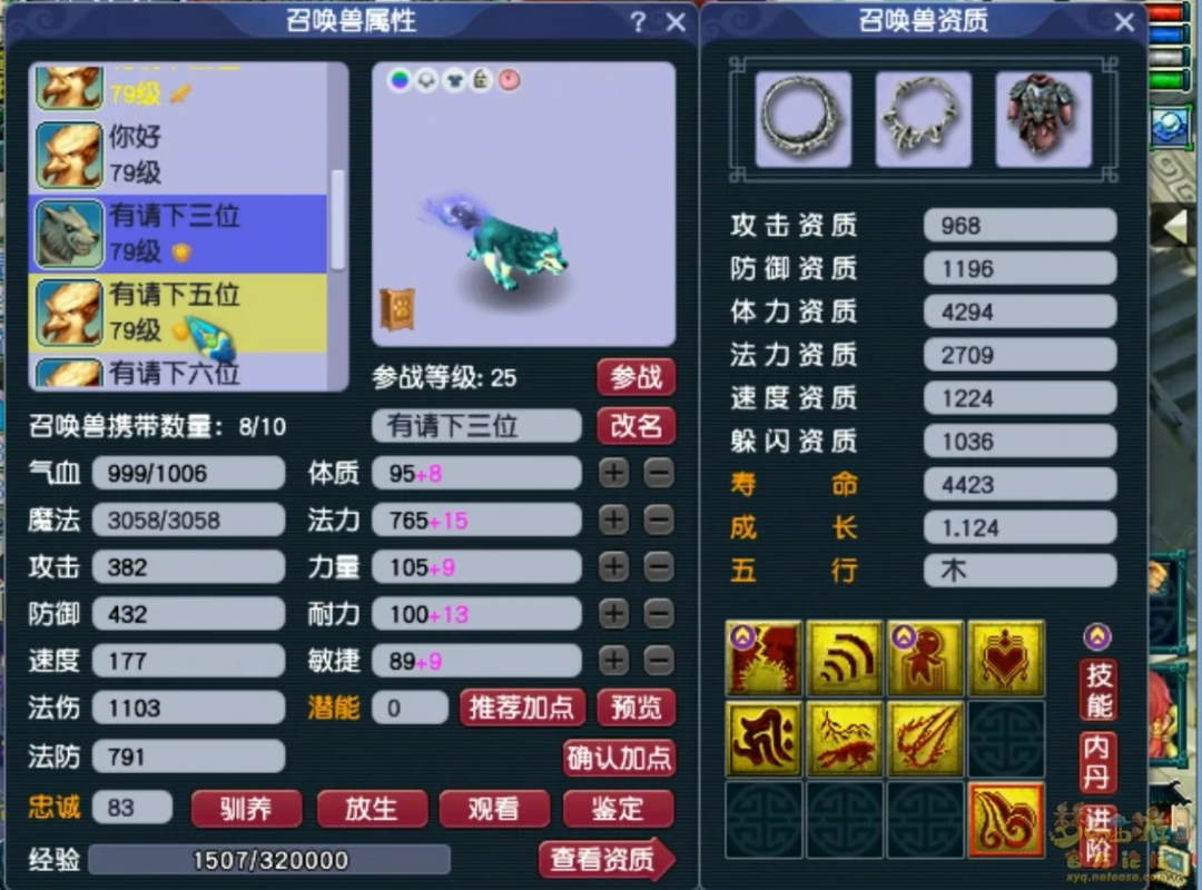 69级奶神木装备展示,梦幻西游