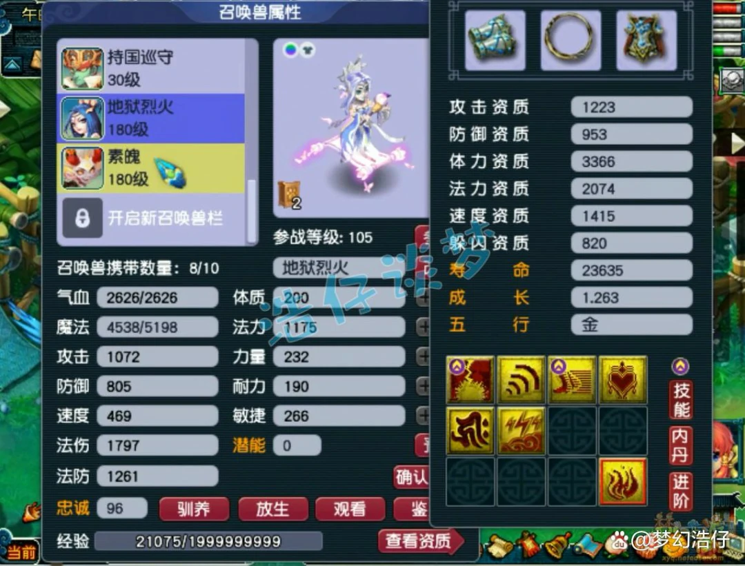 神木林175级竞速装备展示图,梦幻西游