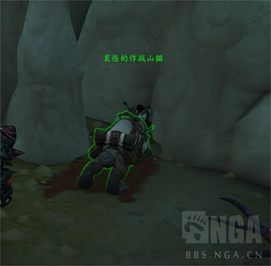 魔兽世界11.5猎人宝宝推荐,魔兽世界