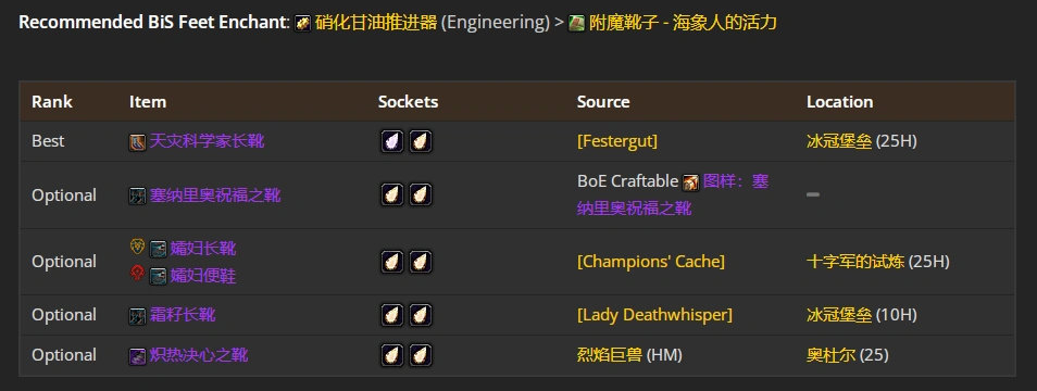 wlkP5奶德BIS装备宝石附魔推荐,魔兽世界