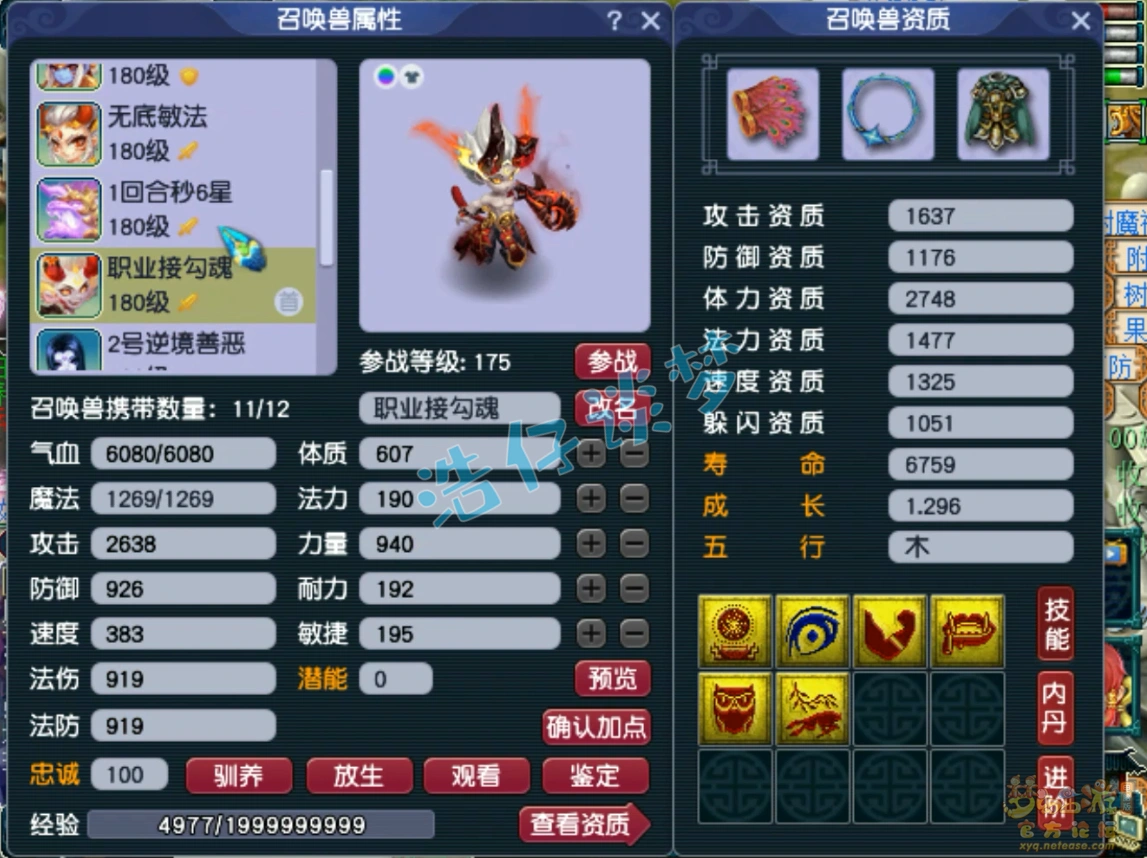 无底洞装备展示图175级,梦幻西游
