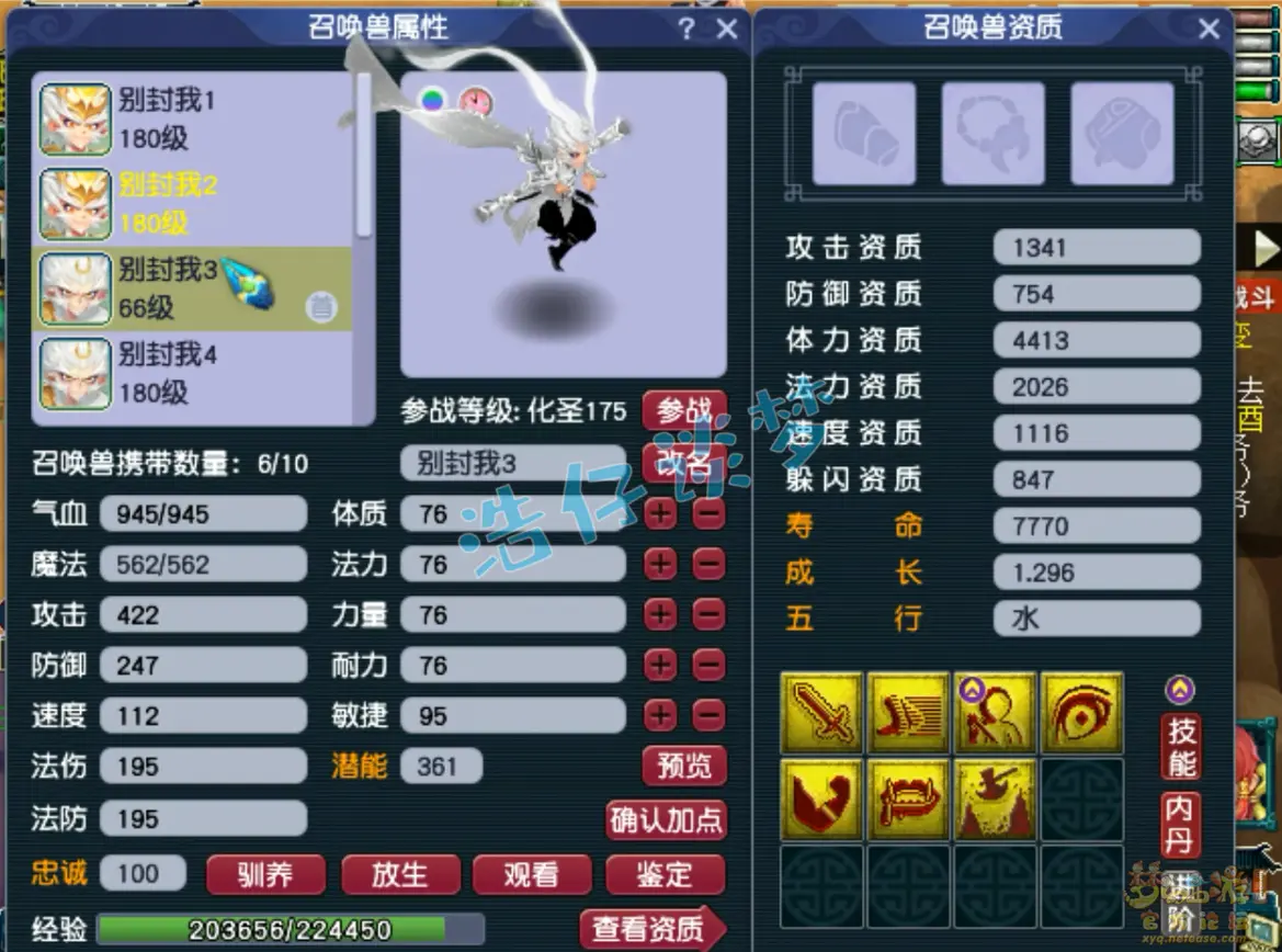 凌波城175装备展示图,梦幻西游