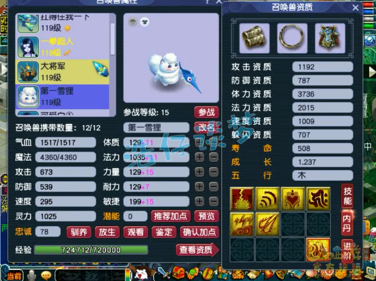 花果山109级装备展示图,梦幻西游
