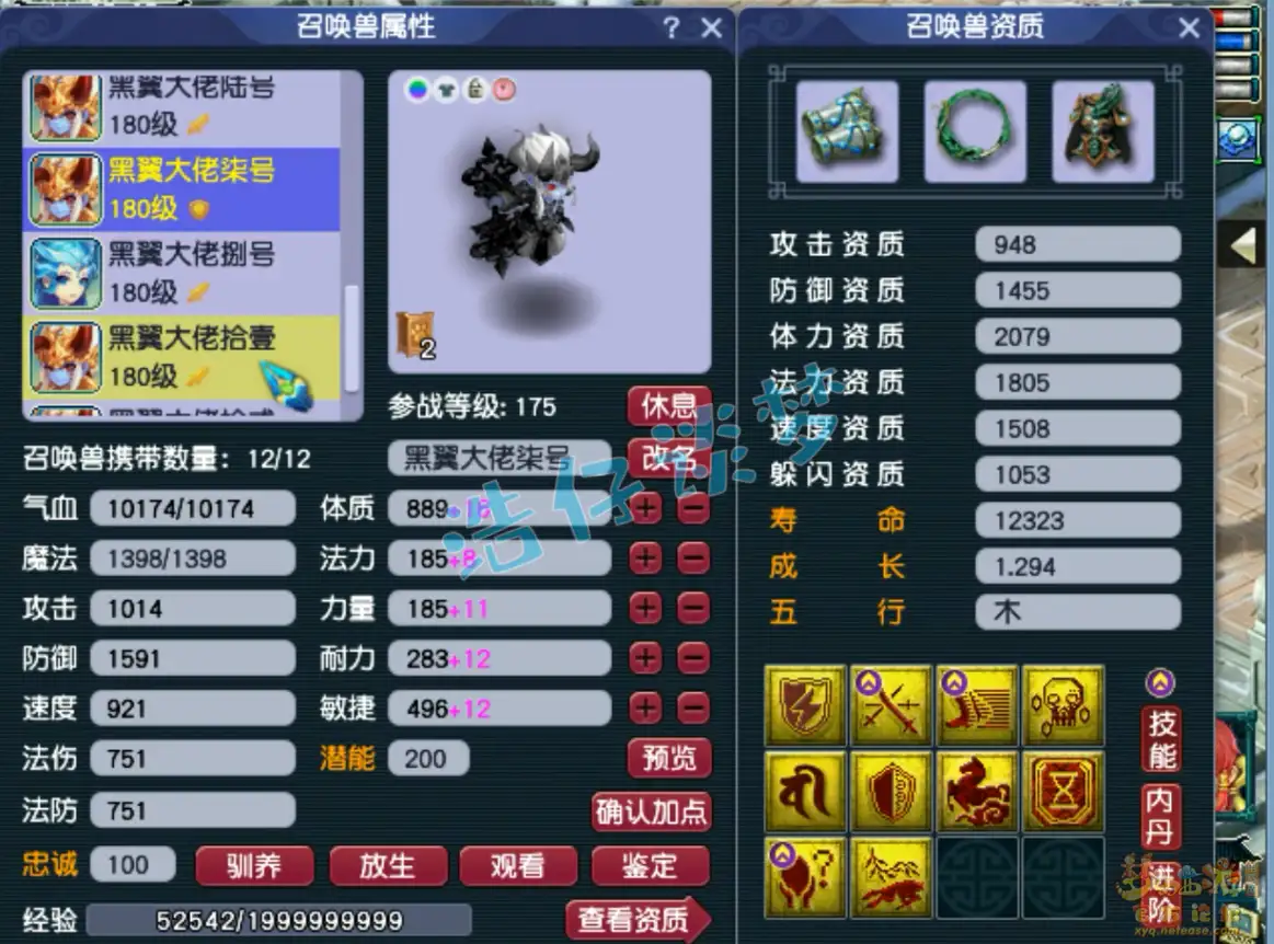 力普陀山175级装备展示图,梦幻西游