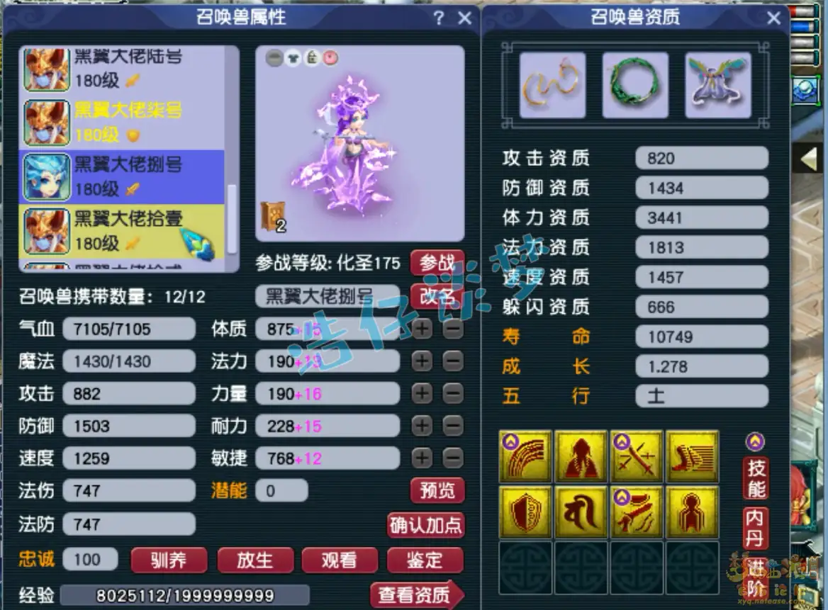 力普陀山175级装备展示图,梦幻西游