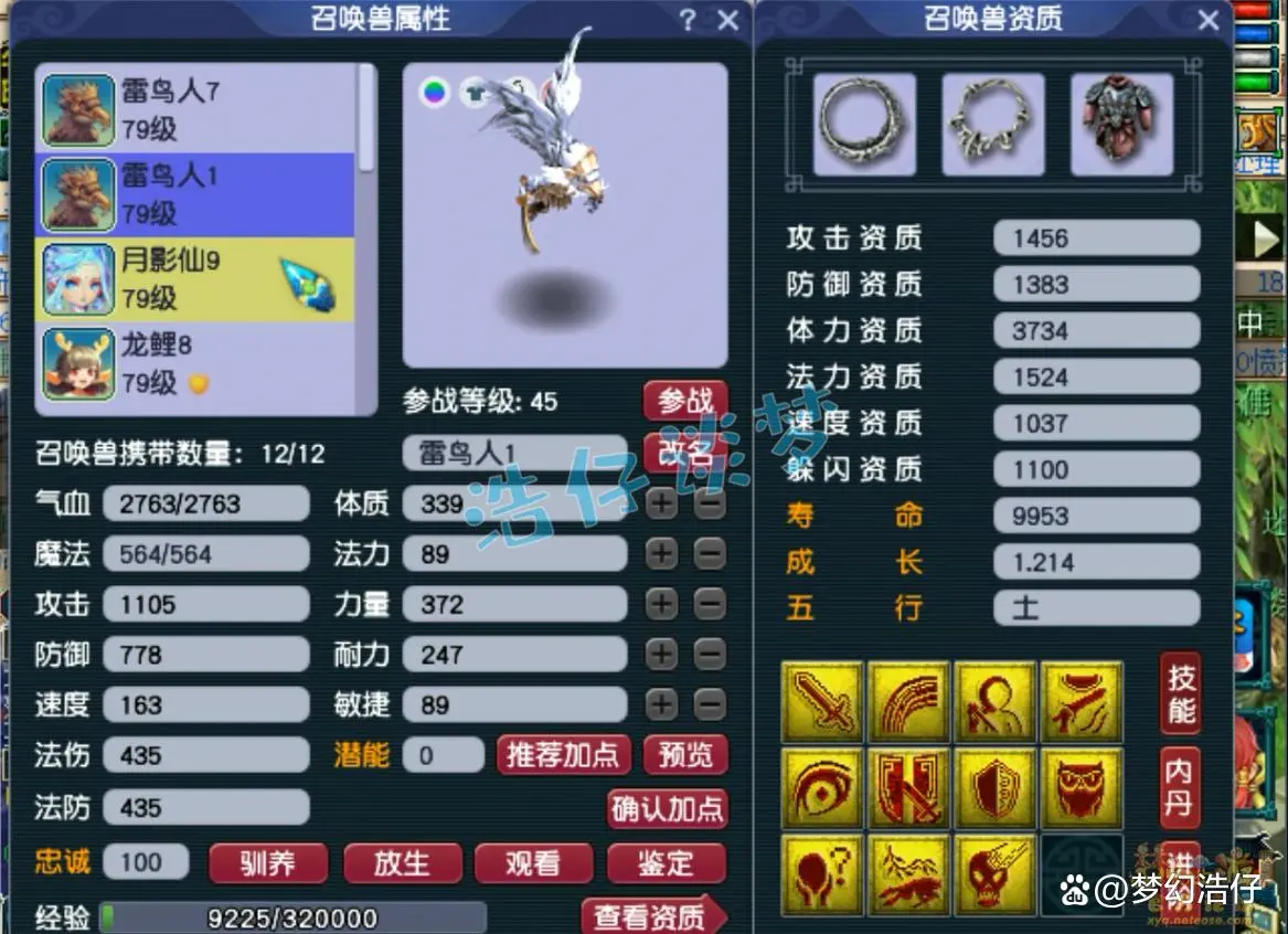 固伤69级普陀山装备展示图,梦幻西游
