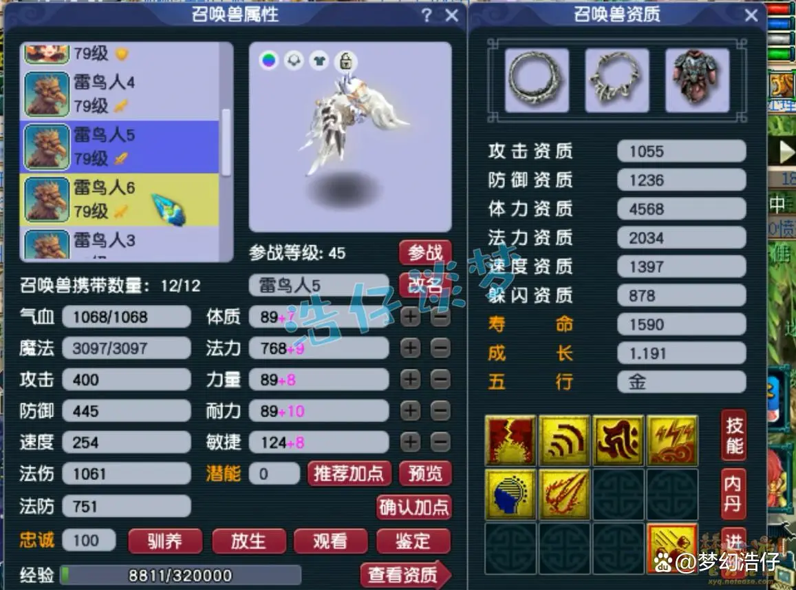 固伤69级普陀山装备展示图,梦幻西游