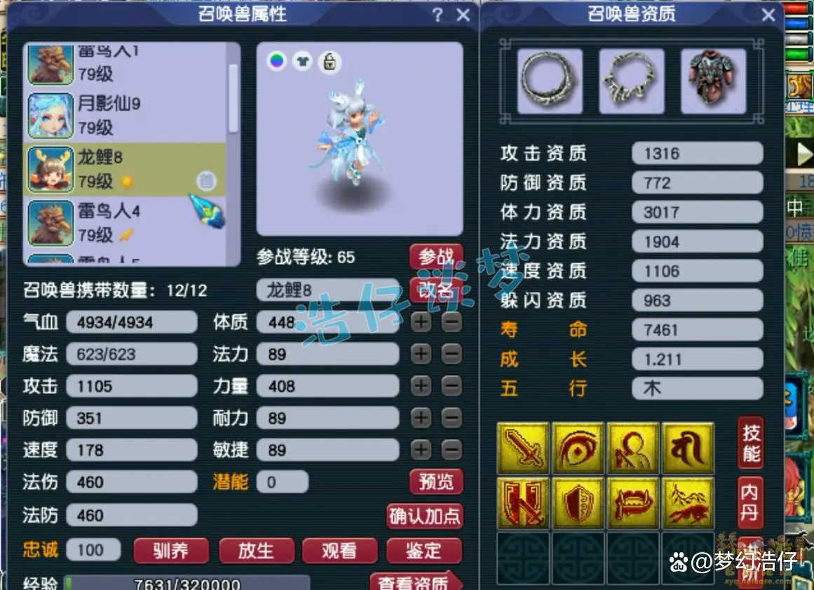 固伤69级普陀山装备展示图,梦幻西游