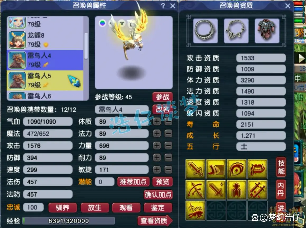 固伤69级普陀山装备展示图,梦幻西游
