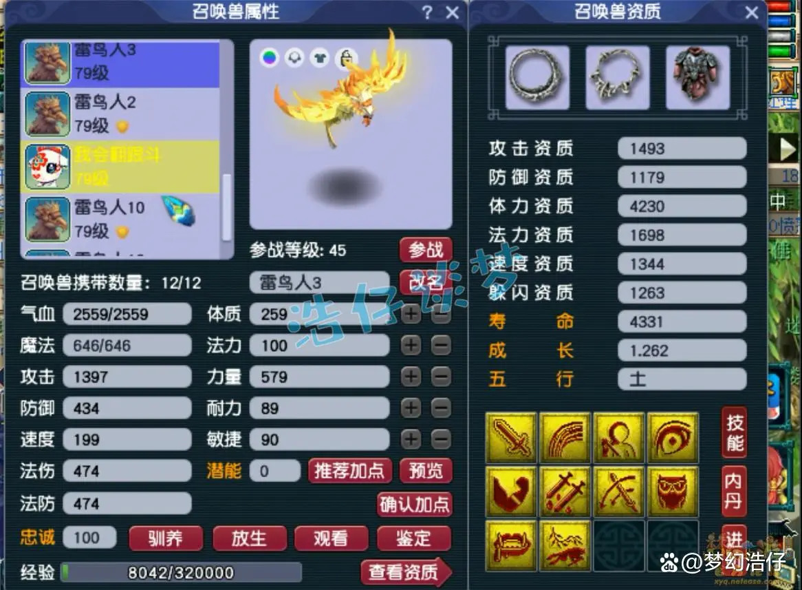 固伤69级普陀山装备展示图,梦幻西游