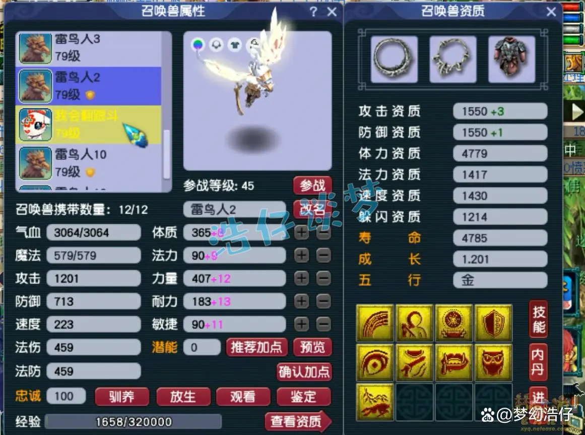 固伤69级普陀山装备展示图,梦幻西游