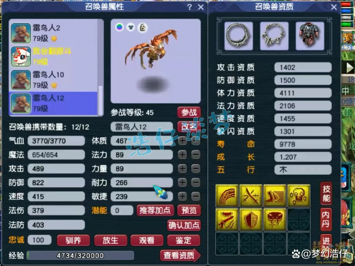 固伤69级普陀山装备展示图,梦幻西游