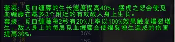 魔兽世界11.2猫德套装效果一览,魔兽世界