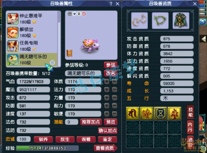 竞速175级神木林装备展示图,梦幻西游
