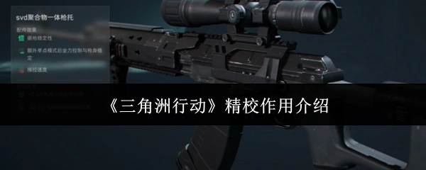 武器精校界面,战术装备调整