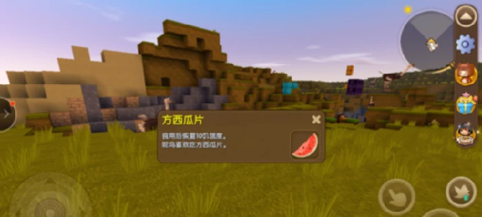 迷你鸵鸟