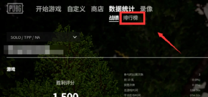 吃鸡分数