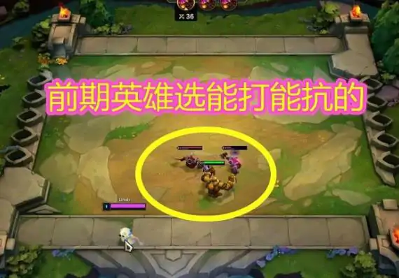 云顶之弈抽棋子概率分析,LOL
