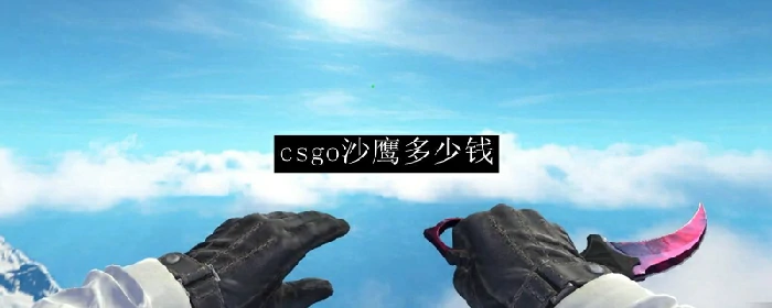 csgo沙鹰多少钱