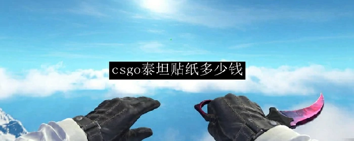 csgo泰坦贴纸多少钱