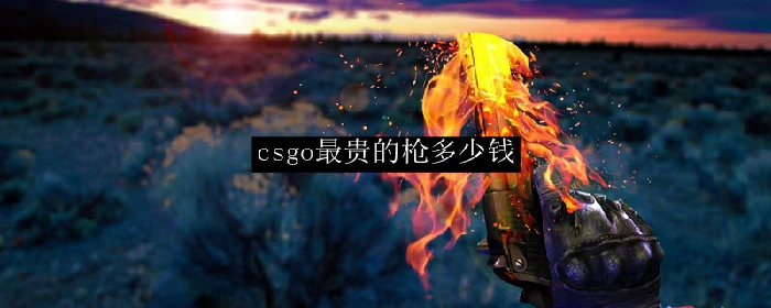 csgo最贵的枪皮肤多少钱