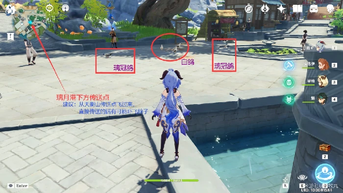 四方之网可捕捉小动物在哪,原神