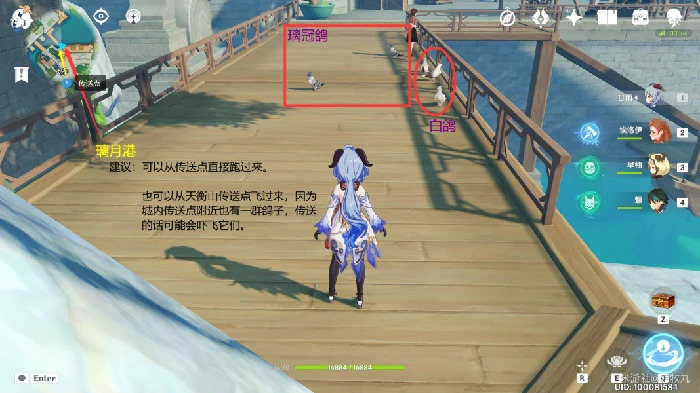 四方之网可捕捉小动物在哪,原神