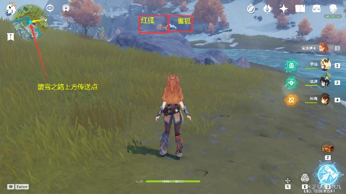 四方之网可捕捉小动物在哪,原神