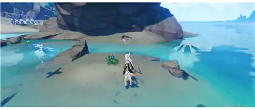 浮游干核在哪,原神