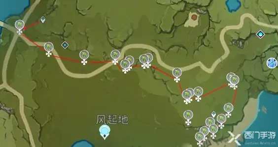 薄荷哪里多,原神