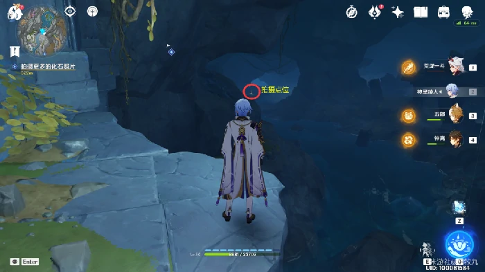 奇怪岩石照片有什么用,原神