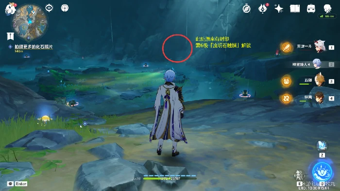奇怪岩石照片有什么用,原神