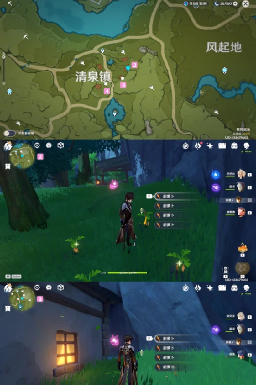 胡萝卜在哪收集,原神