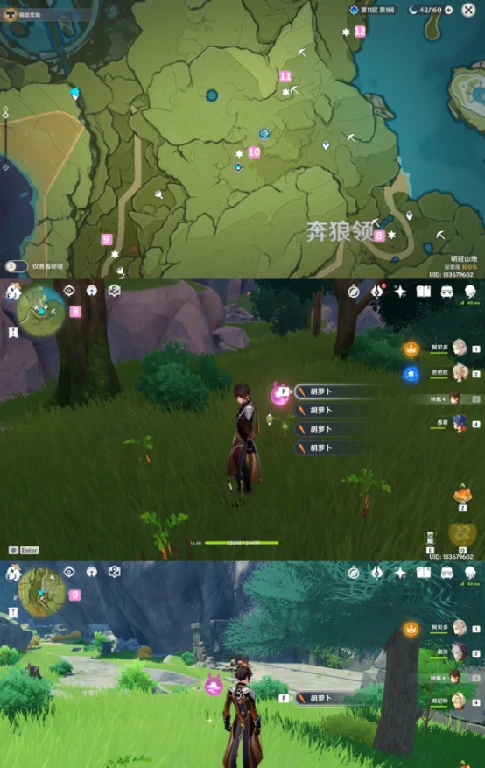 胡萝卜在哪收集,原神