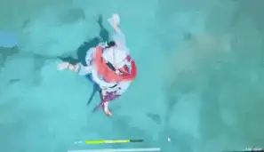 妮露定位是什么,原神