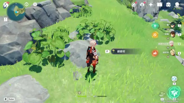 留影者之语攻略,原神