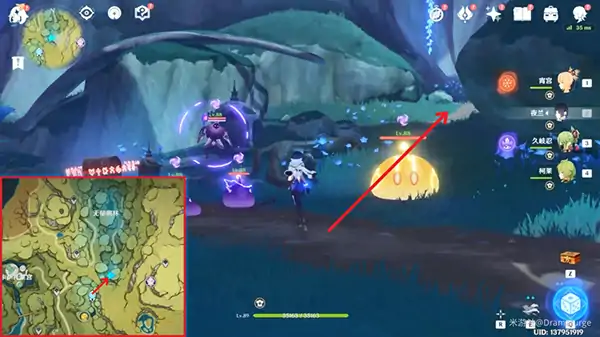 掣电树锚点怎么开启,原神