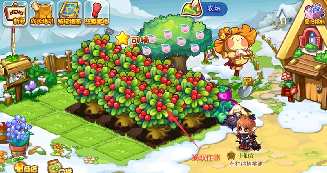 农场栽培等级怎么升级