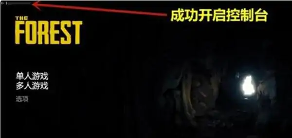 控制台怎么开不了